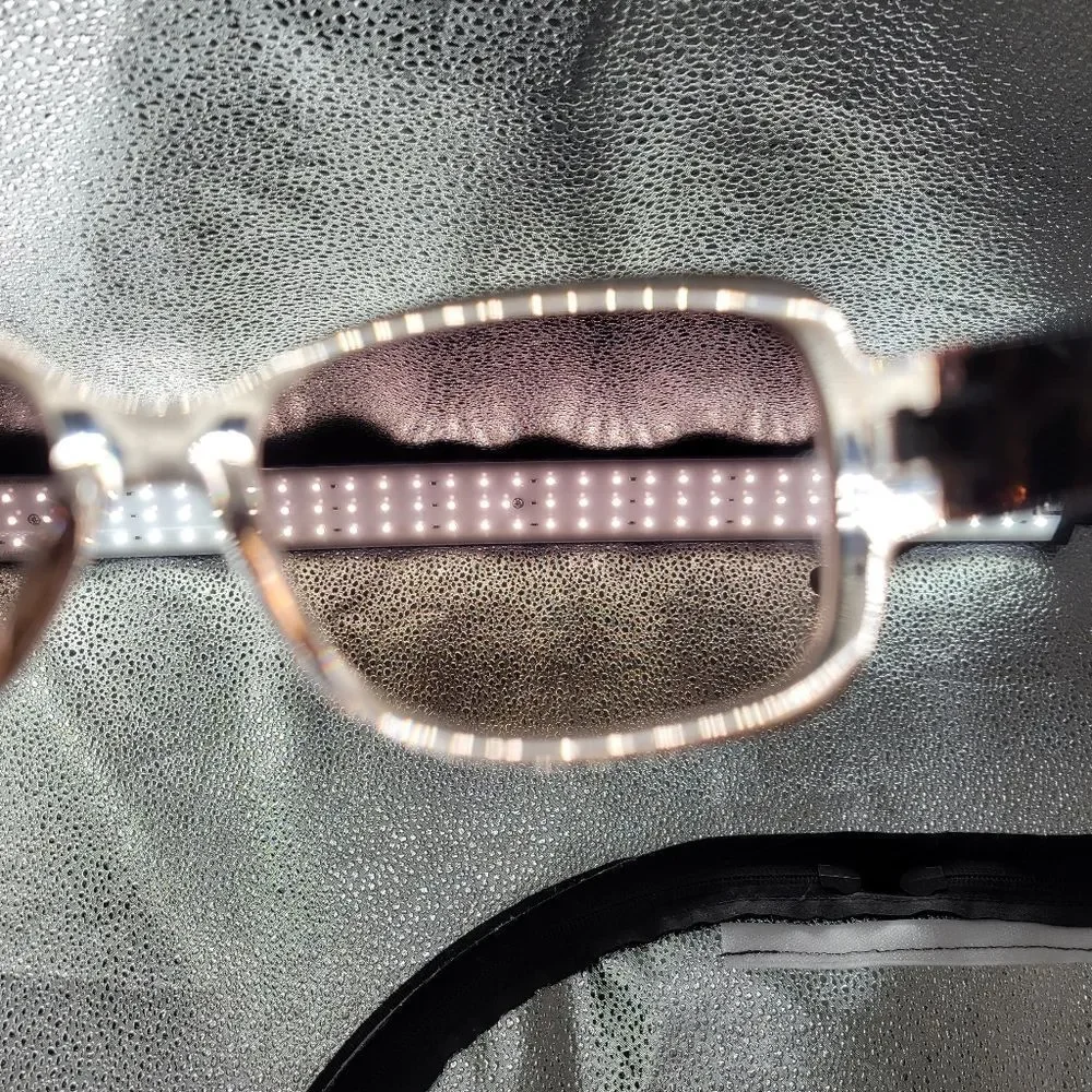 Oscar De La Renta Clear Peachy Pink Frame Sunglasses with Tortoise Arms